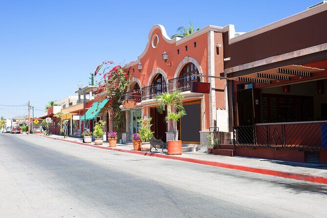 Cabo San Lucas Arch Cruise and Shopping Tour - The Drawbacks: What to Keep in Mind