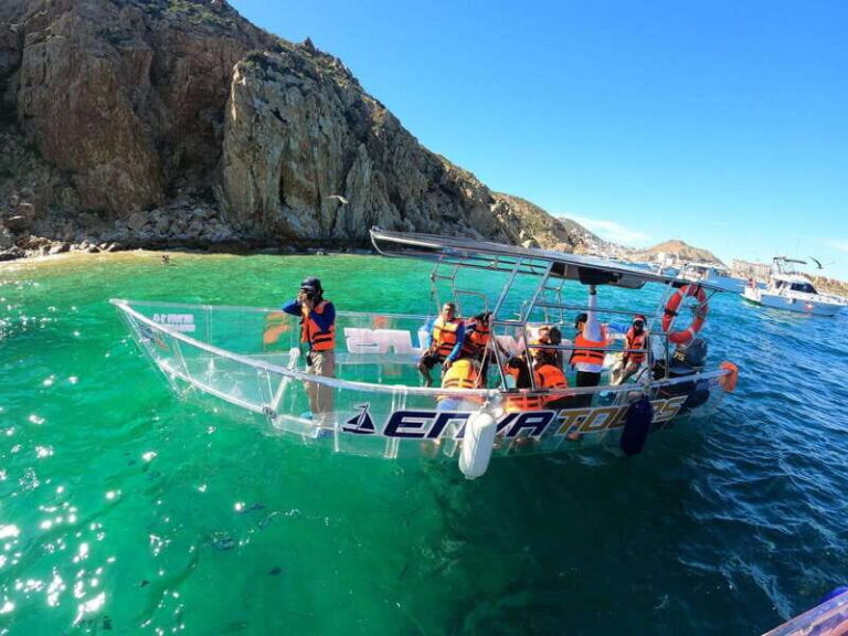 Cabo San Lucas: Arch Tour Clear Boat - Marine Life and Other Highlights
