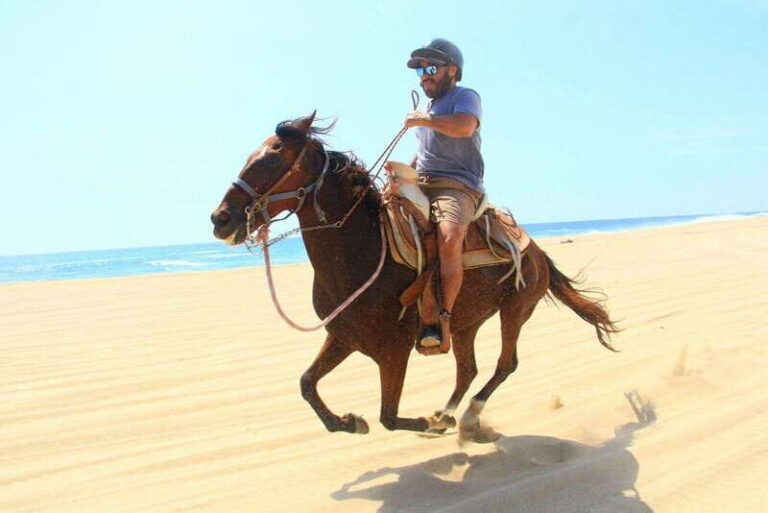 Cabo San Lucas: ATV/Camel/Horse Combo Tour - Pricing & Value