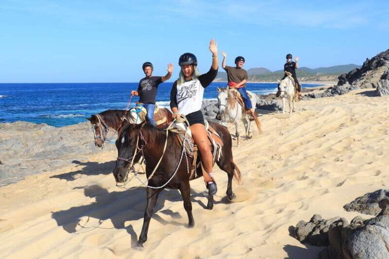 Cabo San Lucas: Beach & Desert Horseback Riding Tour - Who Should Consider This Tour?