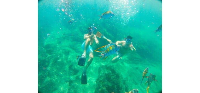 Cabo San Lucas: Beach Hopper Small-Group Snorkeling Tour - What Sets This Tour Apart?