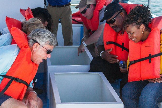 Cabo San Lucas Boat Tour - Is the Price Justified?