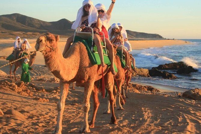 Cabo San Lucas Camel Ride and Encounter on Beach and Desert - Value and Cost Analysis