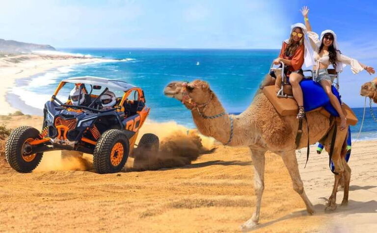Cabo San Lucas: Camel Ride & Off-Road UTV Combo Adventure - What We Love About This Experience