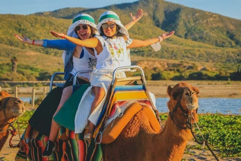 Cabo San Lucas: Camel Ride on the Beach - Analyzing the Value