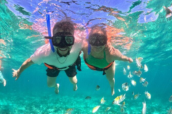 Cabo San Lucas Catamaran: Snorkel, Open Bar & Scenic Cruise - Practical Details and Tips