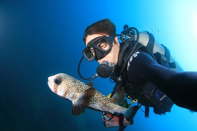 Cabo San Lucas Certified 2 Tank Dive at the Famous Arch and Land's End - The Experience in Detail: What You’ll Love