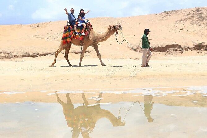 Cabo San Lucas Combo 2 in 1 Skybikes, ATV, RZR, Horses or Camel - Who Will Love This Tour?