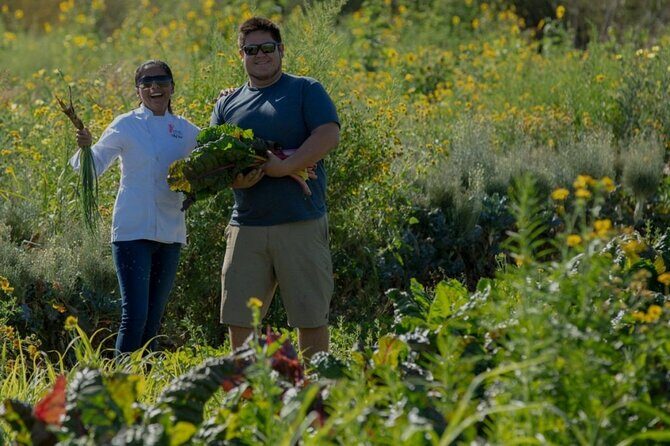 Cabo San Lucas Cooking Classes by Chef Ari - The Sum Up
