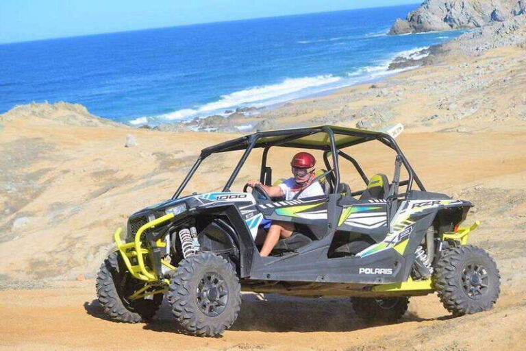 Cabo San Lucas: Desert and Beach RZR and Horseback Riding - Practical Details and What to Know