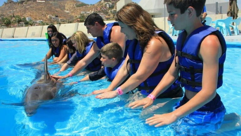 Cabo San Lucas: Dolphin Swim Class with Marine Specialist - Final Thoughts: Is It Worth It?