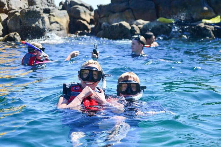 Cabo San Lucas: Guided Snorkeling Tour with Transportation - The Actual Experience: What the Reviews Tell Us