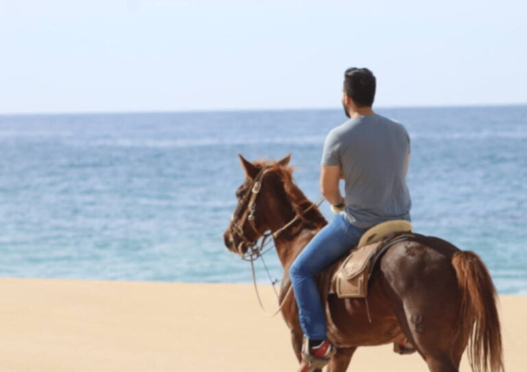 Cabo San Lucas: Horseback Riding Adventure - Who Will Love This Tour?