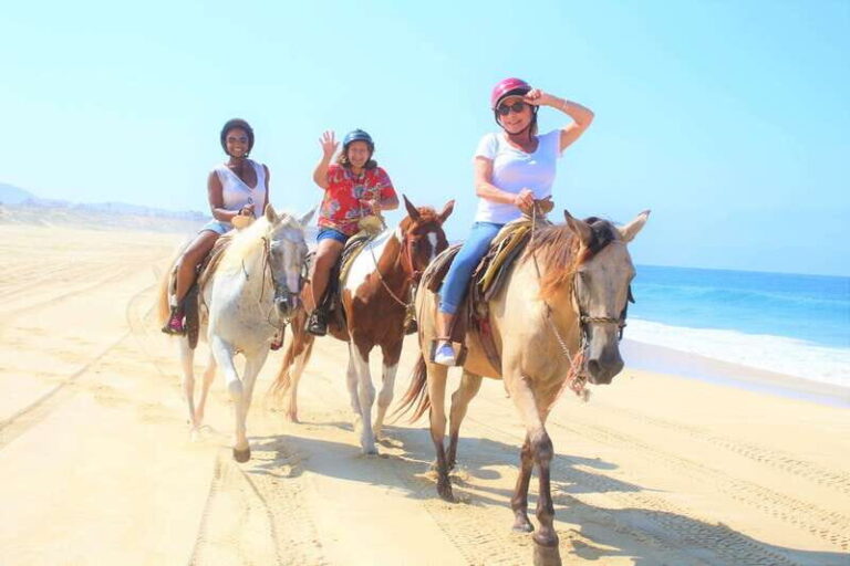 Cabo San Lucas: Horseback Riding Corredor Turistico - Authentic Experiences and Genuine Insights