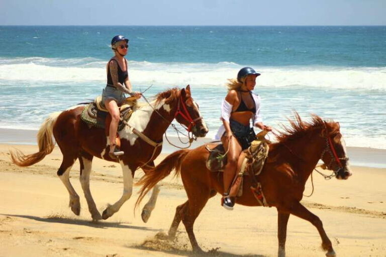 Cabo San Lucas: Horseback Riding in Migriño with Transfers - Detailed Itinerary Breakdown
