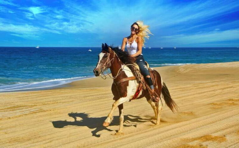 Cabo San Lucas: Horseback Riding On The Beach - The Value of the Experience