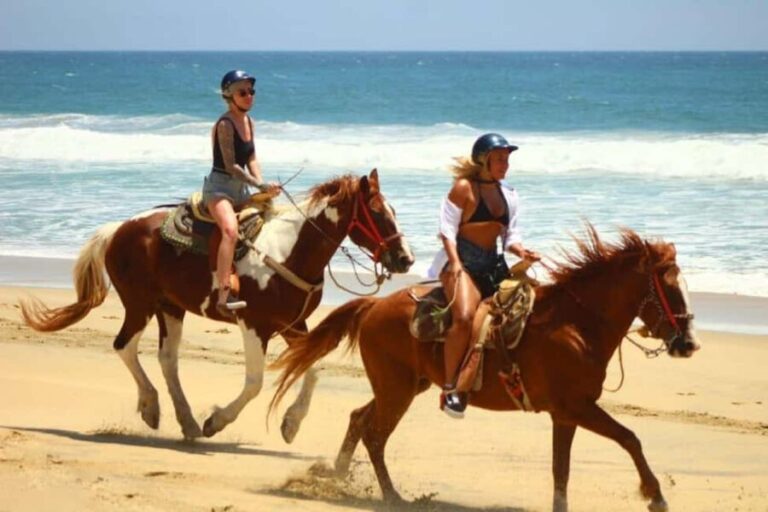 Cabo San Lucas: Horseback Riding on the Beach Experience - Who Will Love This Tour?