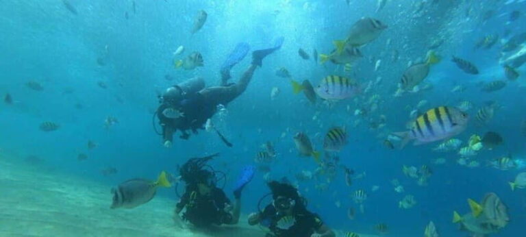 Cabo San Lucas: Marine Reserve Dive - Who Will Love This Experience?