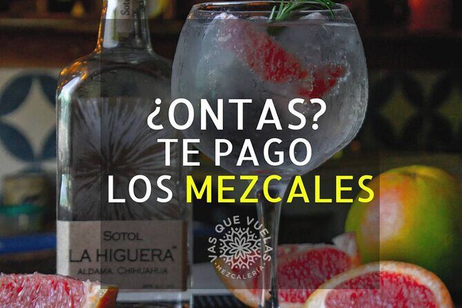 Cabo San Lucas Mezcal Tasting and Cocktail Class - The Itinerary Breakdown