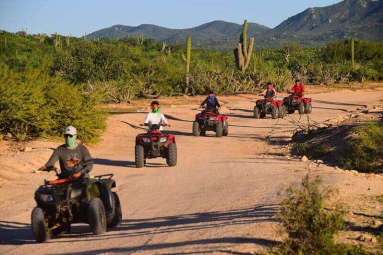 Cabo San Lucas: Migrino Beach & Desert ATV Tour - The Sum Up: Is the Migrino Beach & Desert ATV Tour Worth It?