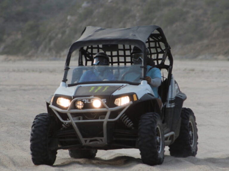 Cabo San Lucas: Migriño Beach & Desert UTV Adventure - Who Will Love This Tour?