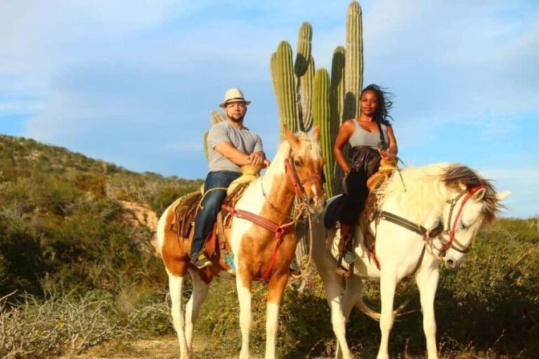 Cabo San Lucas: Migriño Horseback Riding Adventure - FAQ