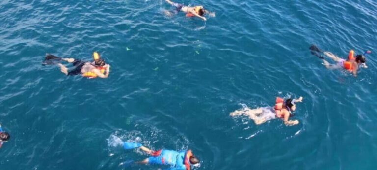 Cabo San Lucas: Snorkel Fun Cruise & Breakfast - Who Should Consider This Tour?