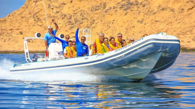 Cabo San Lucas: Snorkel, Paddle-board, and/or Kayak Tour - Why This Tour Offers Good Value