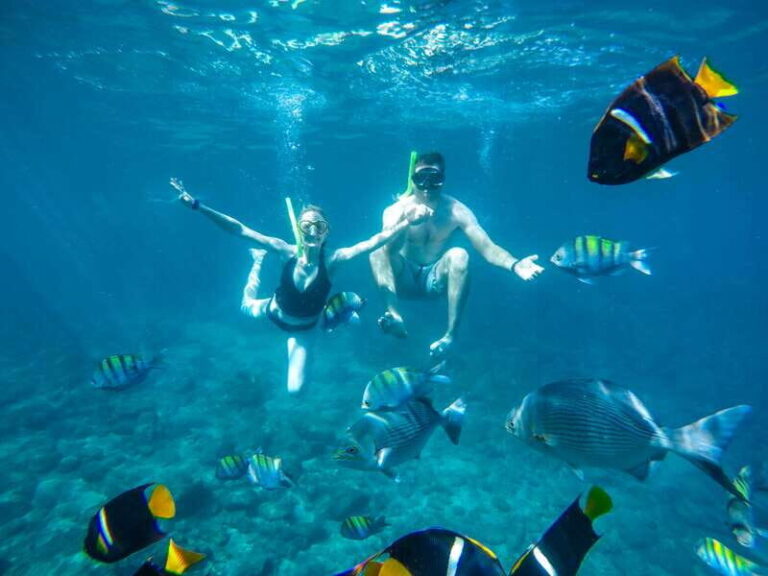 Cabo San Lucas: Snorkel Tour with Open Bar & Snacks - How This Tour Balances Price and Value