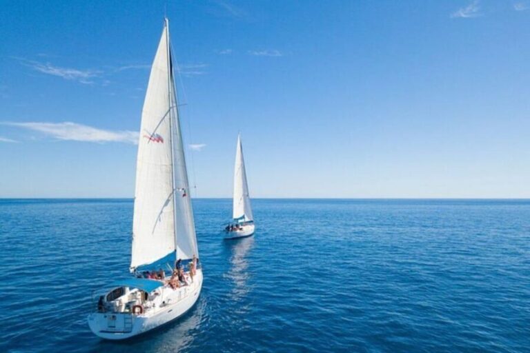 Cabo San Lucas: Snorkeling and Sailing Cruise with Lunch - Practical Details and What to Expect