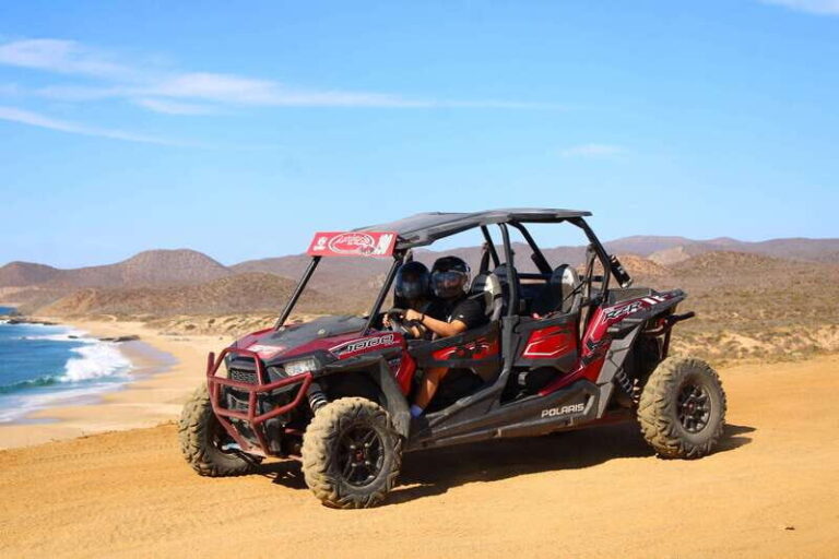 Cabo San Lucas: Tour en UTV playa desierto y tequila tasting - The Experience: Pros and Cons