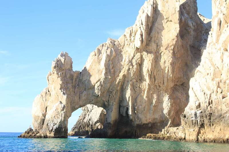 Cabo San Lucas: Up-Close Whale Watching Small-Group Tour - The Itinerary in Detail