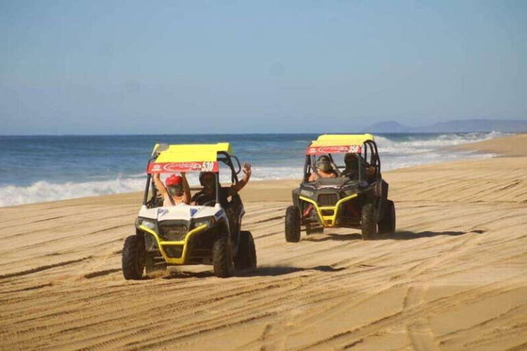 Cabo San Lucas: UTV Razor Tour of Migriño Desert and Beach - The Drive Through Baja’s Varied Terrain