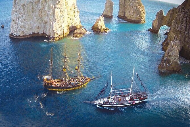 Cabo San Lucas Whale Watching Tour All Included - Who Will Enjoy This Tour?