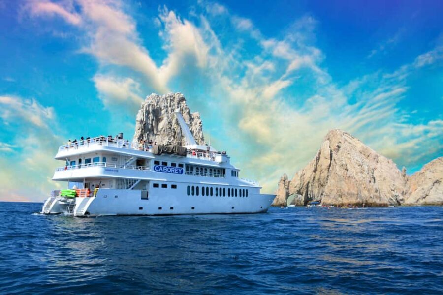 Cabo San Lucas: Whale Watching Tour with Breakfast - Authentic Experiences and Reviews