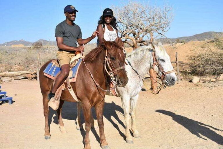 Cabo San Lucas: White Sand Horseback Adventure - The Value for Money
