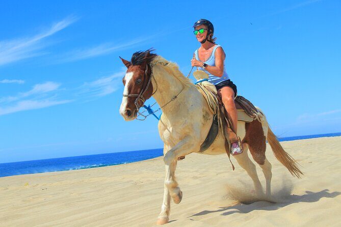 Cabo Shore Excursion: Beach Horseback Ride & Tequila Tasting - Scenic Highlights and Wildlife Encounters