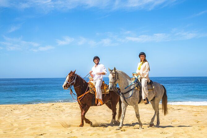Cabo Tour Mexico Camel and Horseback Ride with ATV Adventure - Who Would Love This Tour?