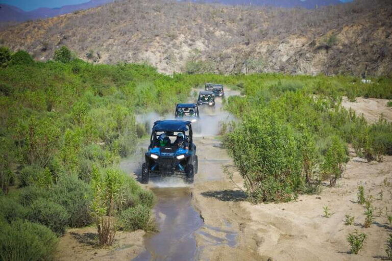 Cabo: UTV Off-Roading, Mexican Lunch, and Tequila - The Details: Pros, Cons, and Practicalities