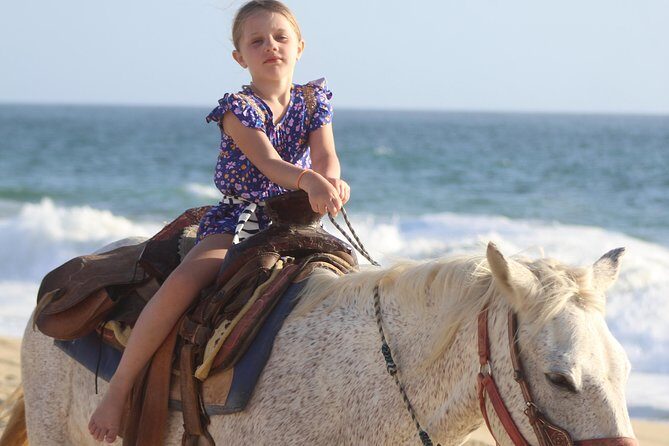 Cabo White Sand Horseback Riding Tour and Tequila Tasting - The Sum Up