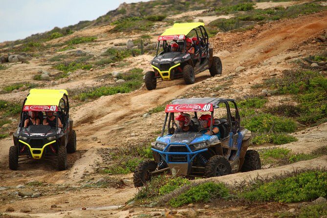 Cabo Wild Desert Tour, Polaris ATV or Razor Single, Double, Triple or Quad! - An In-Depth Look at the Cabo Wild Desert Tour