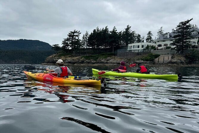 Cafes and Kayaks: Full Day Kayaking Adventure on Orcas Island - The Value of the Tour