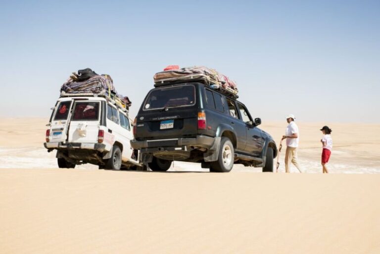 Cairo: 2-Day Bahariya Oasis Camp and Desert Tour - Who Should Consider This Tour?