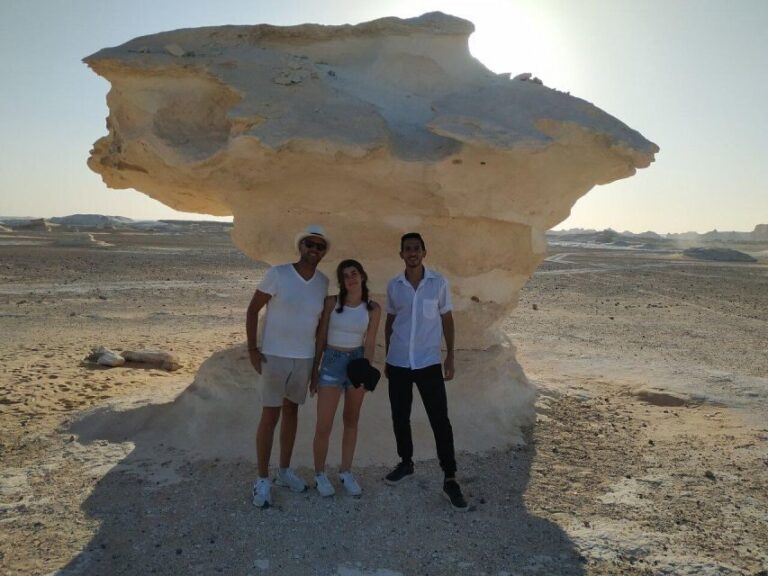 Cairo: Bahariya Oasis & White Desert A Private Day Adventure - The Logistics: Comfort, Cost, and Practicalities