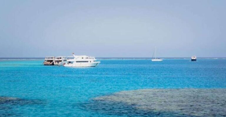 Cairo : Day trip at the red sea at Stella Di Mare - What You Can Expect on This Tour