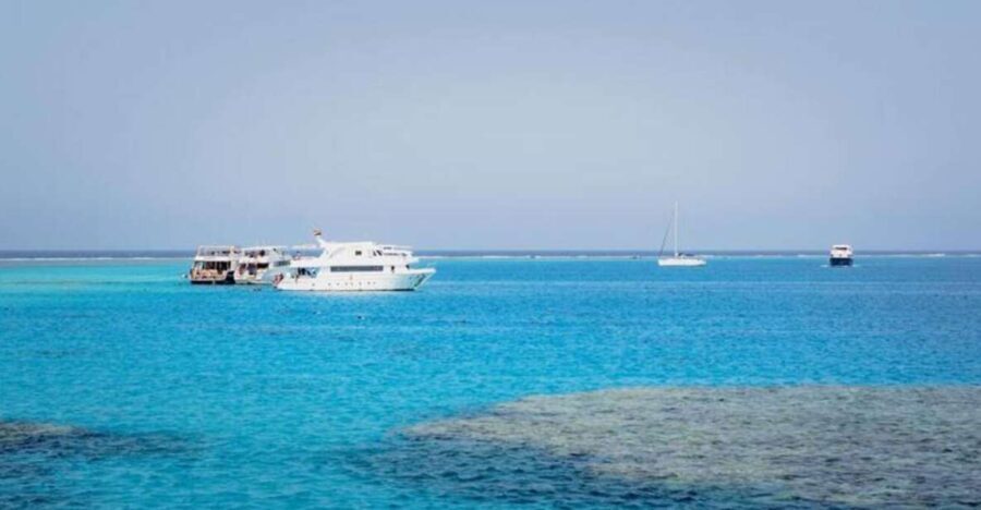 Cairo : Day trip at the red sea at Stella Di Mare - What You Can Expect on This Tour