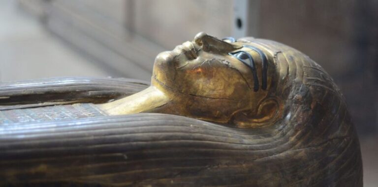 Cairo: Egyptian Museum, Citadel, and Old Cairo Guided Tour - The Value Proposition