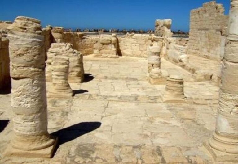 Cairo: EL-Alamein Guided WW2 History Day Trip with Lunch - What to Expect from the Tour