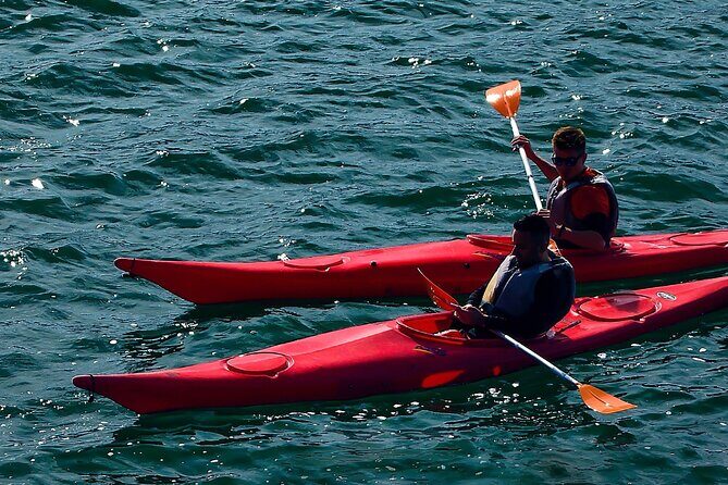 Cairo Kayak on The Nile River - The Experience Through the Eyes of Others