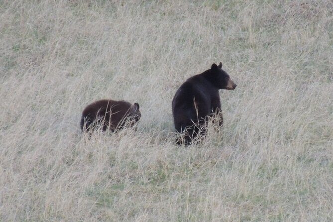 Calgary to the Rocky Mountains Private Day Tour - FAQ